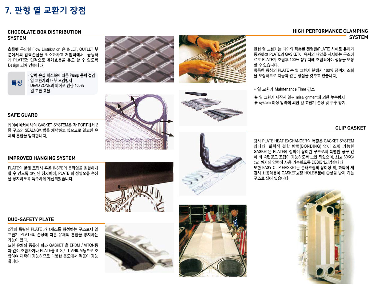 p53.jpg
